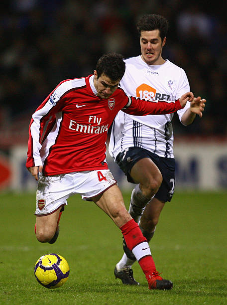 以及坚韧的 以及坚韧的